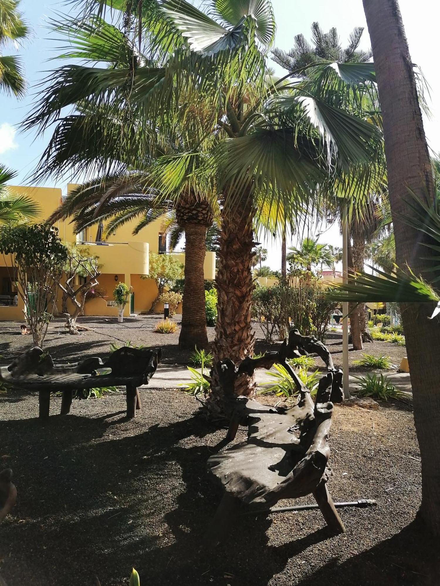 Casa Magdalena Apartman Corralejo Kültér fotó